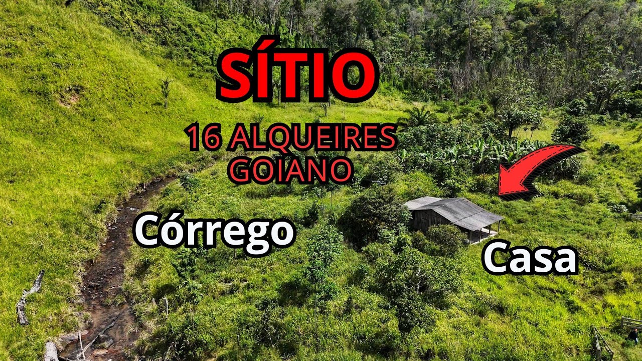 Sítio de 16 alqueires todo em pasto com preço de oportunidade a 30 km de São Félix do xingu Pará