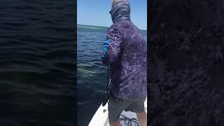 Captain Page + Calusa Cast Net = White Bait