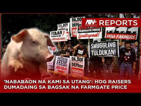 DA: 2 buwang pork import ban simula Nov. 15, 40% taripa isinusulong