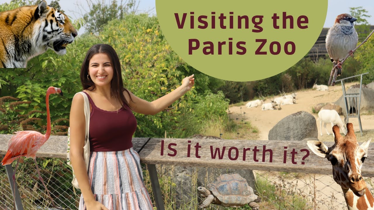 A day in The Paris Zoological Park - July 2022