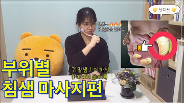 침이 쫙쫙 나오는 침샘마사지 방법 / 침샘이 하는일 / 침샘위치 / 침샘염예방법 /침샘마사지 정복하기