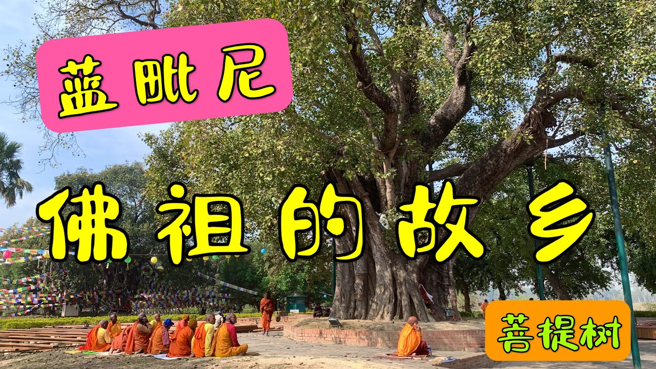 佛祖的故乡 蓝毗尼 尼泊尔