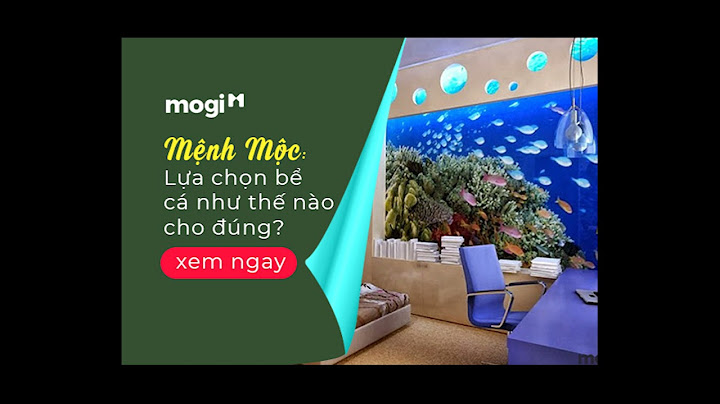 Mệnh mộc nuôi bao nhiêu con cá