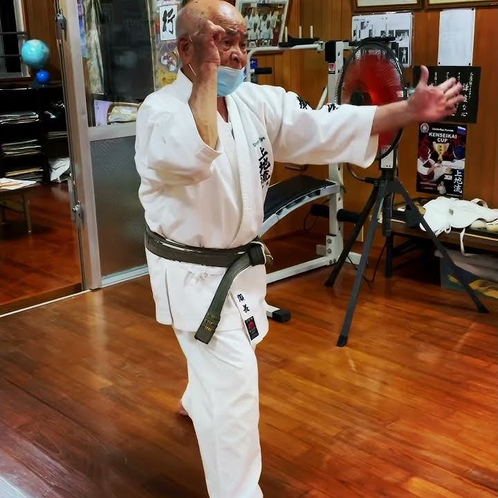 Senaga Sensei explaining a section of his “Giken Kata” #karate #okinawa #uechiryu #