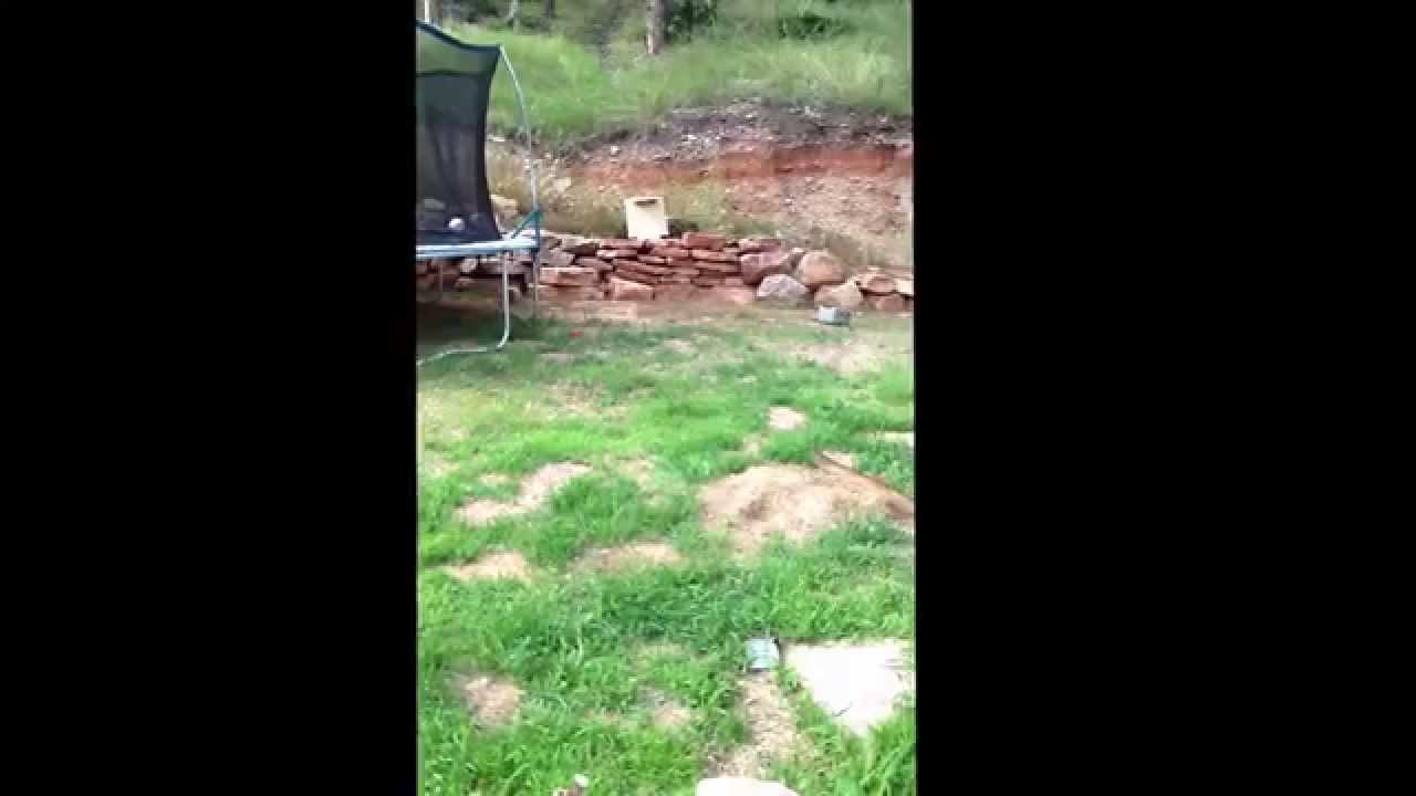 Reviewing The Gamo Recon Whisper YouTube