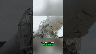 Falcon 9 Rocket Lands: SpaceX's Star Milestone! #shorts
