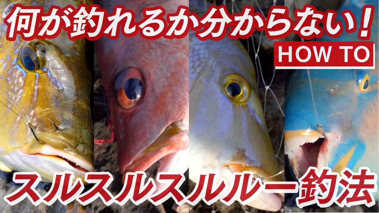 髙里悟によるスルスルスルルー実践解説！【スルスルスルルー】【大物 