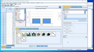 SPSS Explore Data / How to Create a Bar Chart for one Categorical Variable