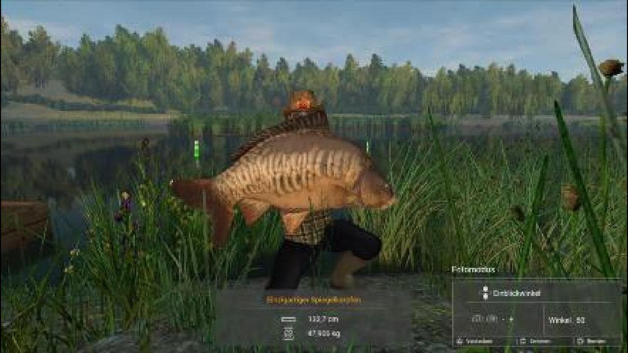 Fishing Planet - Weeping Willow,47.906kg Einzigartiger Spiegelkarpfen ... Fishing Planet - Weeping Willow,47.906kg Einzigartiger Spiegelkarpfen ...