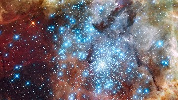 Are We Stardust? - Ask The Expert #11