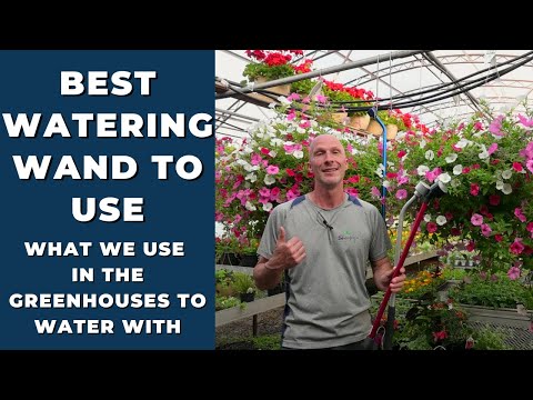 वीडियो: पौधों के लिए पानी की छड़ी - बगीचे में पानी की छड़ी का उपयोग कैसे करें