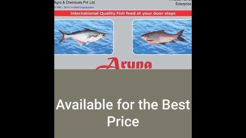 Aruna Fish Feed | High Protein | Pangasius Feed, IMCarp Feed