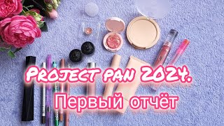 PROJECT PAN 2024. Первый отчёт.