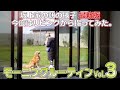 モーニングルーティン3〜最新の坂上家の朝!今度はリビングから撮ってみた!〜