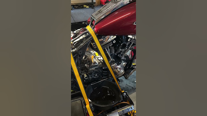 Some Harley’s Are Beautiful On the Outside But Dying On The Inside!