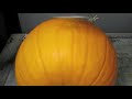 Laser-Etching the Seven Days Cover Pumpkin