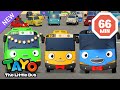 Operación del equipo Tayo y amigos | Dibujos animados para niños | Tayo El Pequeño Autobús