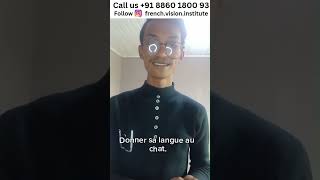 French Expressions  French Vision Institute