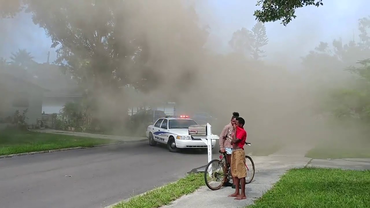 WATCH: Man runs into house fire to try to save dogs - YouTube