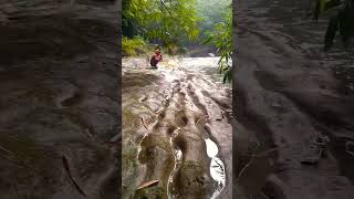 mancing umpan jitu  poa/rangas shortsvideo shortvideo