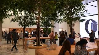 Inside Worlds Largest Apple Store In Dubai, Mall Of The Emirates