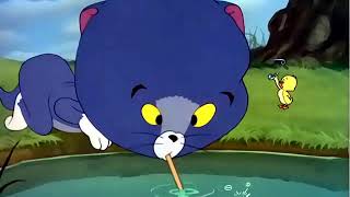 Tom and Jerry, cartoon - 