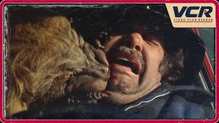 ORANGE CAT BEHAVIOR | Uninvited (1988) Funny Scene