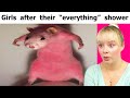 Relatable Memes From A Cute Hamster