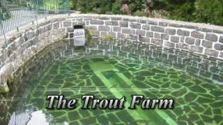 Aspects Of Ribeiro Frio