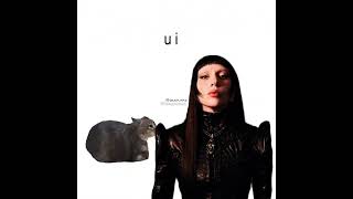 Oiia Cat X Lady Gaga - Abracadabra Lyric Video