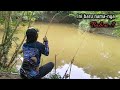 Sungai baru saja surut  sekali mancing baung babon langsung panen