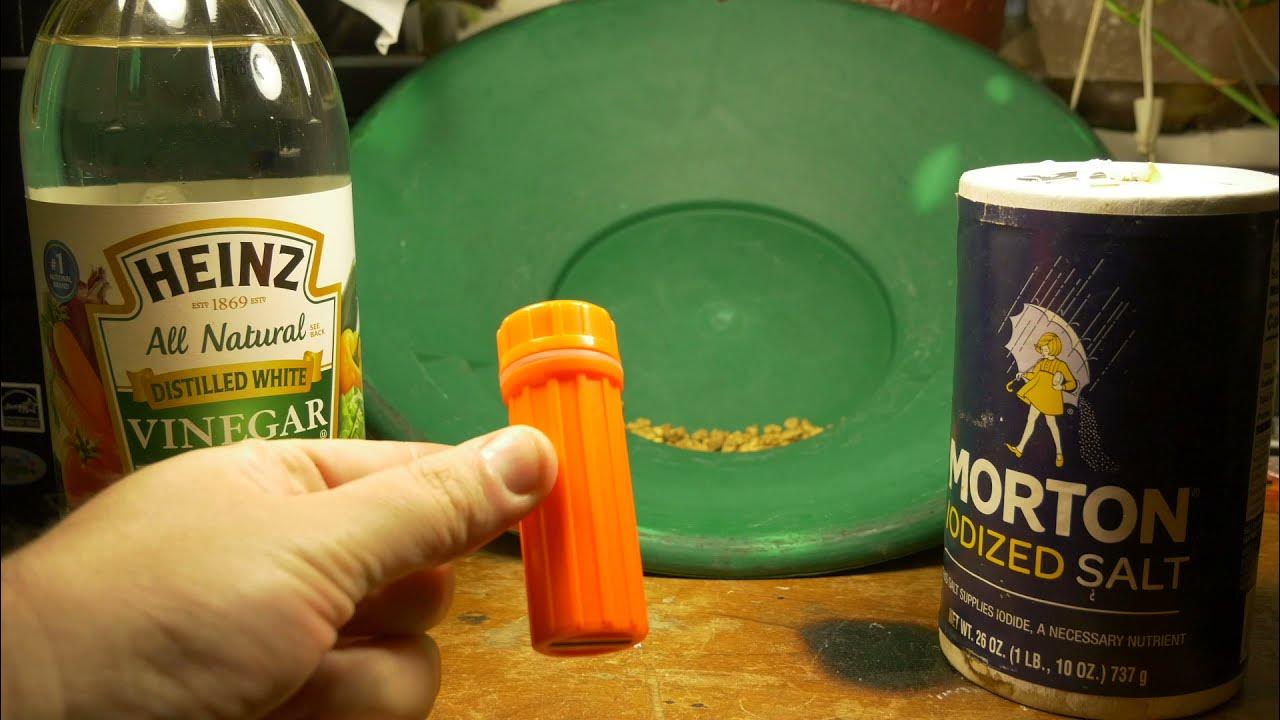 Cleaning Gold Nuggets Simple Method to Clean Up Placer Gold YouTube