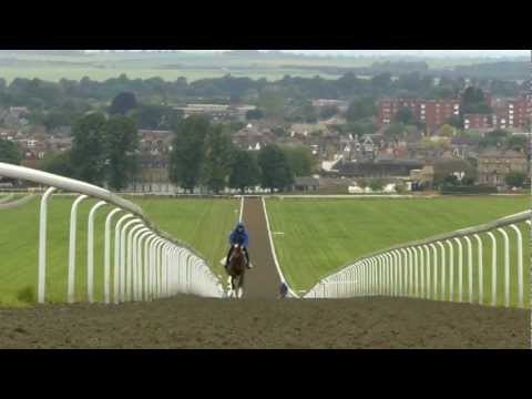 Video: Is Newmarket Racecourse een vaccinatiecentrum?