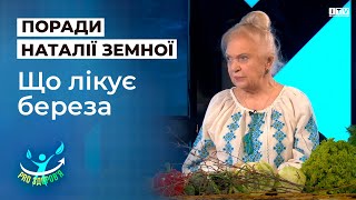 Користь для здоров'я та лікування захворювань: Наталя Земна розповіла про секрети берези