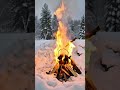 Cozy Snow Campfire Tea ❄️🔥 Winter ASMR Vibes