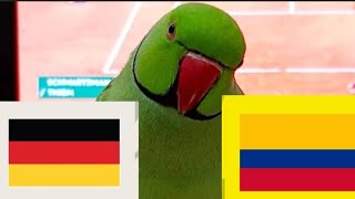 Germany vs Colombia Prediction - International Soccer Match 2023 - Parrot Prediction