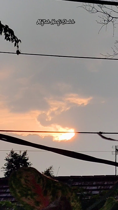 PENAMPAKAN MATAHARI MIRIP MULUT NAGA JELANG SENJA HARI INI #shorts #dragon #naga