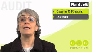 Comment réaliser un plan d'audit ? Vidéo Audit 4/12 screenshot 4