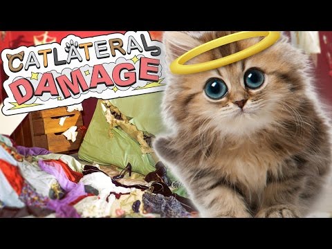 Video: Catlateral Damage è Un Simulatore Di Gatti In Prima Persona