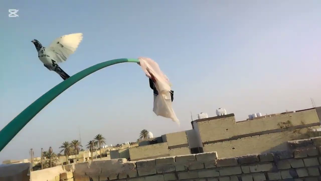 ١٠ شباط، ٢٠٢٥