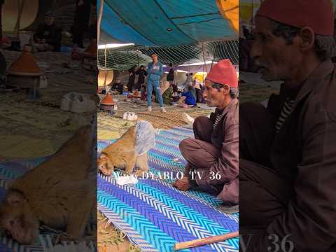 شوف القرض اشنو كادير 