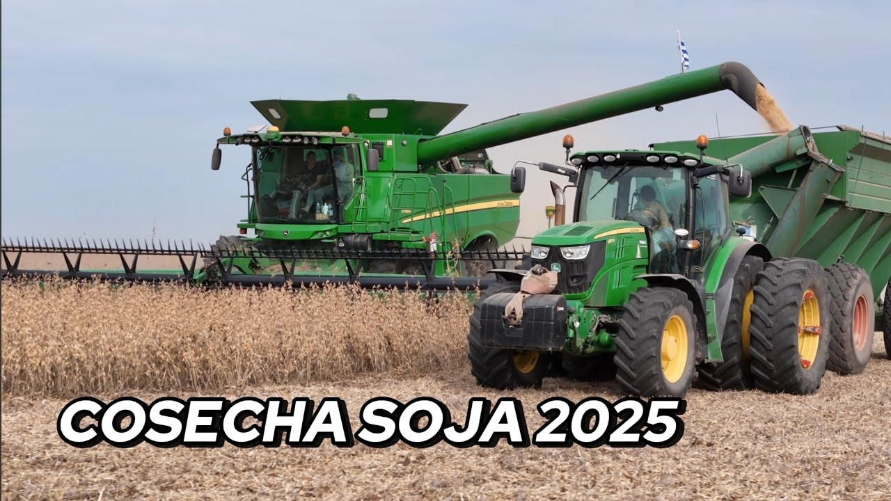 Mi resumen de la cosecha - Steven Chá