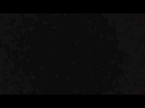 Cicadas and Gulls (Feist Cover) by JT