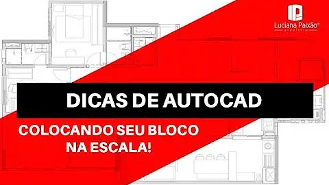 Como colocar um bloco na escala 1 100?