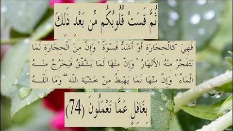 القران الكريم سورة البقرة الاية 74