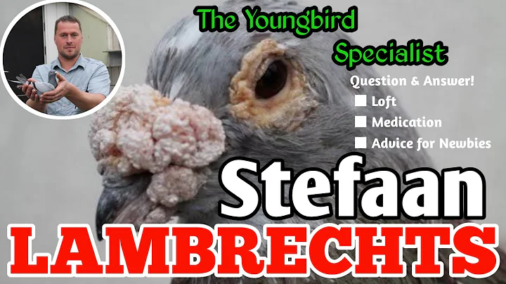 Stefaan Lambrechts | 1st national champion LMD you...
