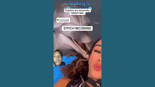 Download Lagu Orcas, Dolphins \u0026 the Terrifying Side of the Ocean We Don’t Talk About” MP3