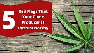 5 Red Flags That Should Tell You Not to Trust a Clone Producer