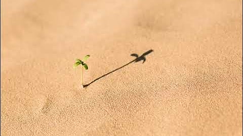 55 سورة الرحمن | القارئ عبدالرحمن الماجد