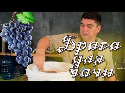 Ставим виноградную брагу - аналог чачи